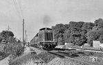 Die nagelneue V 100 2208 des Bw Kornwestheim (Abnahme 06.08.1963) mit P 1772 (Backnang - Ludwigsburg) am Haltepunkt Favoritepark in Ludwigsburg. (08.1963) <i>Foto: Wolfgang Jahn</i>