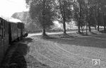 Blick aus dem Zug 24 nach Rittmarshausen mit Zuglok 12'' bei Garteschänke. (1952) <i>Foto: Detlev Luckmann</i>