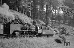 Die 1939 an das Bw Wustermark abgelieferte 50 013, die seit 1949 dem Bw Northeim (Han) angehörte, mit einem Sonderzug zwischen Scharzfeld und Bad Lauterberg. Gut zu erkennen ist der 1942 erfolgte Umbau der Führerstandes, bei dem das hintere Führerhausfenster um 100 mm höher verlegt wurde. Seit April 1947 besaß sie den Kessel (BMAG 11570/1941) aus 50 1081. Nach einem Unfall in Goslar wurde sie 1967 abgestellt. (1952) <i>Foto: Detlev Luckmann</i>