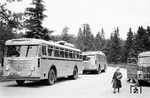 Zwei Postbusse aus Goslar über Bad Harzburg erreichen Braunlage im Harz. (1952) <i>Foto: Detlev Luckmann</i>