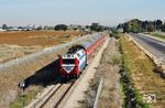 Auf der Strecke von Lod nach Ashkelon ist ein Regionalzug mit einer JT 42 BW südlich von Yavne unterwegs. Die Strecke war einst Teil der Sinai-Bahn und verlief früher über Gaza und den Sinai weiter nach Ägypten. Heute ist sie zwischen Lod und Rechovot und zwischen Zomet Pleschet und Ashkelon zweigleisig ausgebaut. Zwischen Tel Aviv und Ashkelon wurde der elektrische Betrieb am 3. Februar 2024 aufgenommen. (05.12.2008) <i>Foto: Georg Fladt-Stähle</i>