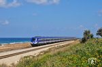 Eine Viaggio-Light-Komposition als Intercity bei Haifa. Den Zug hat die Siemens AG als Diesel-ISR-SDPP-Triebzug (Single Deck Push-Pull) speziell für die Israel Railways hergestellt. Die erste Bestellung aus dem Jahr 2006 umfasste 87 Wagen mit einer Option auf insgesamt 585 Wagen. Die Wagen kamen 2008 in Israel an und wurden 2009 schrittweise in Betrieb genommen. Sie wurden blau und weiß lackiert, nachdem diese Farbe in einer von der Israel Railways veröffentlichten öffentlichen Abstimmung als Sieger hervorging. (14.09.2009) <i>Foto: Georg Fladt-Stähle</i>