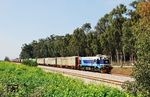 Ein gemischter Güterzug mit der Universallok vom Typ EMD G 12 bei Petach Tikva in Tel Aviv. Die Lok ist ein Export, die von GM-EMD und seinem kanadischen Partnerunternehmen General Motors Diesel gebaut wurden. Israel Railways erhielten 23 Maschinen mit den Nummern 104–126. Nach dem Sechstagekrieg 1967 wurden vier erbeutete ägyptische G 12 in 127–130 umnummeriert. (13.02.2009) <i>Foto: Georg Fladt-Stähle</i>