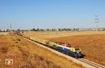 JT 42 CW 704 und eine G 26 vor einem Güterzug bei Kiryat Gat. Güterzüge verkehren im gesamten Streckennetz der israelischen Eisenbahn. Wie der Personenverkehr hat der Güterverkehr in den letzten Jahren deutlich zugenommen. Die Israel Railways transportiert im Jahr inzwischen über 10 Millionen Tonnen Güter, vor allem Phosphate, Kohle und Container. Für die beiden Seehäfen in Haifa und Aschdod ist die Eisenbahn das wichtigste Transportmittel. (02.07.2009) <i>Foto: Georg Fladt-Stähle</i>