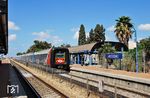 Ein IC 3 rauscht durch den Haltepunkt Atlit südlich von Haifa. Die Israel Railways ist die staatliche israelische Eisenbahngesellschaft mit Unternehmenssitz in Tel Aviv-Jaffa (bis 1980 in Haifa). Die Gesellschaft entstand 1948 aus den in Israel liegenden Teilen der normalspurigen Palestine Railways (PR), der durch das britische Militär mit US-amerikanischer Hilfe während des Zweiten Weltkriegs errichteten ebenfalls normalspurigen Bahnstrecke Haifa–Beirut–Tripoli (HBT) und den in Israel verbliebenen Resten der schmalspurigen bereits in osmanischer Zeit angelegten Hedschasbahn. 1996 wurde die „Palestine Railways“ als Eisenbahngesellschaft für die autonomen, palästinensischen Gebiete neu gegründet. Sie übernahm theoretisch die Eisenbahn im Gaza-Streifen auf einer etwa 50 km langen Strecke der Sinai-Bahn vom ägyptischen Grenzübergang Rafah bis zum israelischen Grenzübergang Erez. Die Strecke ist baulich teilweise nicht mehr vorhanden. Fahrzeuge gibt es auch keine mehr. Der Eisenbahnbetrieb wurde von der Gesellschaft nie aufgenommen.  (19.09.2008) <i>Foto: Georg Fladt-Stähle</i>