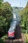 Kurz hinter der Müngstener Brücke nimmt V 200 033 mit ihrem Sonderzug die Steigung nach Remscheid-Güldenwerth in Angriff. (06.10.2024) <i>Foto: Atijana Schmidt</i>