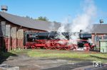 Der letzte große Einsatz der 01 1104 im Jahr 2024 war eine Fahrt über die herrliche Allgäustrecke nach Lindau, auch wenn auf dem Stück zwischen Immenstadt und Lindau wohl noch nie eine 01.10 zum Einsatz kam. Am Vortag der Sonderfahrt macht sich 01 1104 im Bw Würzburg bereit. (11.10.2024) <i>Foto: Joachim Schmidt</i>