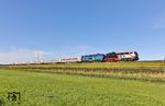 218 497 und PRESS 218 054 (ex 218 448) mit IC 2375 (Westerland/Sylt - Frankfurt/M Hbf) am Beginn des Hindenburgdamms östlich von Morsum. (02.10.2024) <i>Foto: Joachim Bügel</i>