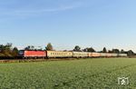 Der Lausitzer Dampflok-Club und das Eisenbahnmuseum Bayrischer Bahnhof zu Leipzig fuhren am 12.10.2024 einen Sonderzug von Cottbus nach Weimar zum Zwiebelmarkt, den 143 567 der Triangula Logistik GmbH bespannte, aufgenommen bei Eilenburg Ost, 30 Minuten nach Sonnenaufgang bei 3 Grad plus. Nasse Schuhe, Socken und Füße inklusive. (12.10.2024) <i>Foto: Ralf Opalka</i>