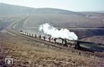 BR 45013 (ex LMSR 5013, Baujahr 1935) mit einem Güterzug am Standedge Tunnel in den Pennines zwischen Manchester und Leeds. (18.01.1964) <i>Foto: Robin Fell</i>