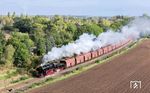 Bei Reuden kommt 52 8079 angedampft. Der Wald hinter dem Zug verdeckt gnädig das riesige offene Gelände des Tagebaus Profen. Der Braunkohlenbergbau hat hier das Landschaftsbild nachhaltig verändert. Im Zeitraum von 1947 bis heute erfolgte in mehreren Etappen die Devastierung von 20 Orten beziehungsweise Ortsteilen. Mehr als 6000 Menschen mussten ihre Heimat verlassen.  (28.09.2024) <i>Foto: Joachim Schmidt</i>