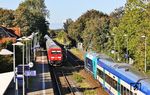 Im Bahnhof Morsum wartet 245 214 mit RE 11008 nach Westerland (Sylt) die Kreuzung des durchfahrenden IC 2375 nach Frankfurt/M mit 245 024 ab. (03.10.2024) <i>Foto: Joachim Bügel</i>