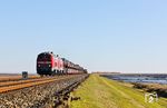 218 322 und 218 839 mit AS 1418 nach Westerland (Sylt) auf dem Hindenburgdamm kurz vor Morsum. Im Hintergrund ist AS 1419 mit 245 025 und 628 501 am Zugschluss nach Niebüll unterwegs. (04.10.2024) <i>Foto: Joachim Bügel</i>