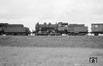 54 1711 als Zuglok an einem Güterzug bei Mering. Auf die Vorspannlok, eine profane 50er (50 1764 vom Bw Augsburg), wurde kein Wert gelegt. (1954) <i>Foto: Detlev Luckmann</i>