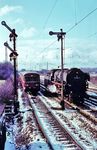 Im Betriebsbahnhof Münster-Nevinghof überholt 624 607 als Et 1935 (Münster - Emden) die Kasselaner 011 056, die gerade auf dem Weg in ihre neue Heimat Rheine ist. (03.04.1970) <i>Foto: Bernd Kappel</i>