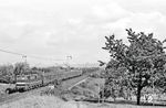 Mit der Elektrifizierung von Neudietendorf bis Arnstadt erhielt das Bw Arnstadt zwei Loks der BR 242. 242 144, die den Eröffnungszug am 15.05.1984 zog, bekam dabei beidseitig neben der Führerstandstür eine gegossene Plakette. Hier ist sie zwischen Vieselbach und Erfurt bei der Gemeinde Azmannsdorf-Linderbach unterwegs. (13.10.1984) <i>Foto: Thomas Fischer</i>