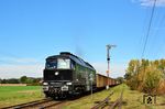 232-693 (ex DR 132 693 bzw. 232 693) wurde 2019 an die Skinest Rail AS Tallinn (Estland) verkauft. In Pilawa Gorna (deutsch: Gnadenfrei) fährt sie an deutschen Signalen auf der Bahnstrecke Katowice (Kattowitz) - Legnica (Liegnitz) vorbei. Die Hinweisschilder mit den Autos neben der Bahnstrecke geben allerdings noch Rätsel auf. Ob hier der Lokführer gewarnt werden soll, dass über den Bahnübergang im Hintergrund immer wieder Autos auf die Gleise abbiegen? (20.10.2021) <i>Foto: Sylvio Ohlt</i>