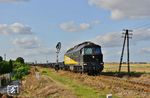 232-583 (ex DR 132 583 bzw. 232 583) in Diensten der Rosinski Logistik mit einem Güterzug bei Jawor (deutsch: Jauer) in Niederschlesien. Der Kilometerstein 264,5 rechnet ab Katowice (Kattowitz). In Legnica (Liegnitz) endet die Strecke im km 283,9. (30.09.2023) <i>Foto: Sylvio Ohlt</i>