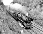 03 2058 mit dem Gegenzug D 562 nach Berlin-Schöneweide bei Muldenstein. (05.08.1978) <i>Foto: Michael Malke</i>