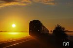 Ein neuer Tag bricht an. 245 203 erscheint mit RE 11052 aus Husum in der aufgehenden Sonne bei Archsum auf Sylt. (05.10.2024) <i>Foto: Joachim Bügel</i>