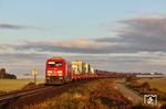 245 025 mit AS 1413 nach Niebüll in der Morgensonne bei Archsum. (05.10.2024) <i>Foto: Joachim Bügel</i>