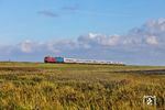 Das Bild verdeutlicht, woher die Marschbahn ihren Namen bekam. 218 389 und PRESS 218 058 (ex 218 412) fahren mit IC 2214 (Köln - Westerland/Sylt) durch die Marschlandschaft östlich von Morsum. (05.10.2024) <i>Foto: Joachim Bügel</i>