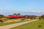 218 322 und 218 839 erreichen mit AS 1442 aus Niebüll östlich von Morsum soeben die Insel Sylt. (05.10.2024) <i>Foto: Joachim Bügel</i>