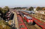 Durch den Abstellbahnhof Westerland-Tinnum brummen 218 390 und 218 344 mit AS 1423 nach Niebüll. (06.10.2024) <i>Foto: Joachim Bügel</i>