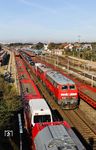 Bei der Durchfahrt in Tinnum treffen 218 390 und 218 344 mit AS 1423 nach Niebüll auf 245 025, die gerade einen Autozug zurück in den Bahnhof Westerland (Sylt) setzt. (06.10.2024) <i>Foto: Joachim Bügel</i>