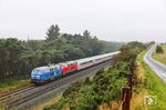 Diese Fotostelle bei Morsum kann nur ohne Sonne umgesetzt werden. So wurde bei trüben Wetter das gemischte Doppel PRESS 218 056 (ex 218 454) und 218 397 vor dem IC 2375 nach Frankfurt/M dort abgepasst. (07.10.2024) <i>Foto: Joachim Bügel</i>