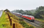 218 344 und 218 390 mit AS 1422 nach Westerland (Sylt) bei Morsum. (07.10.2024) <i>Foto: Joachim Bügel</i>