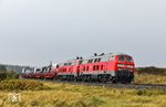 218 390 und 218 344 werden östlich von Morsum mit AS 1435 nach Niebüll gleich die Insel Sylt verlassen. (07.10.2024) <i>Foto: Joachim Bügel</i>