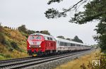 Die Gegend bei Morsum erinnert ein wenig an den Lathener Einschnitt auf der Emslandstrecke. 218 406 hat mit IC 2214 aus Köln soeben die Insel Sylt 'betreten'. (08.10.2024) <i>Foto: Joachim Bügel</i>