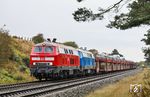 Bei Morsum dröhnen 218 389 und PRESS 218 058 (ex 218 412) vor AS 1418 nach Westerland (Sylt) vorbei. (09.10.2024) <i>Foto: Joachim Bügel</i>