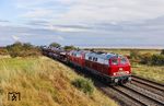 218 373 und 218 344 legen sich mit AS 1442 nach Westerland (Sylt) östlich von Morsum in die Kurve. (09.10.2024) <i>Foto: Joachim Bügel</i>