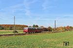 972 749 und 772 149 der up-schienenfahrzeug-technik auf Leerfahrt zwischen Borsdorf und Naunhof bei Beucha. Von dort aus war der Zug als private Charterfahrt nach Dresden gebucht. (26.10.2024) <i>Foto: Ralf Opalka</i>