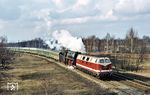 Die Dresdner 118 222 als Vorspann vor der Ostbahnhofer 01 1515, die bei Berlin-Wuhlheide den D 925 (Rostock -) Berlin Ostbahnhof – Dresden Hbf am Haken hatten. (28.03.1975) <i>Foto: Helmut Dahlhaus</i>