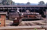 043 672 (ex 44 1672) auf der Drehscheibe ihres Heimat-Bw Rheine. Damals der Sehnsuchtsort der Dampflokenthusiasten würde man den Ort heute als "lost place" bezeichnen. Alle Anlagen des Bw Rheine wurden nach dessen Schließung in den 1980er Jahren bis auf die Gebäude abgetragen und sind seitdem dem Verfall ausgesetzt. Stadt und DB hatten nie Ambitionen, die Anlagen zu erhalten. Das Betreten des Geländes ist wegen freiliegender Kanalschächte, unabgesperrter Wasserbunker und Arbeitsgruben, den einsturzgefährdeten Gebäuden und deren Anbauten lebensgefährlich und daher verboten. (09.1974) <i>Foto: Wolfgang Staiger</i>