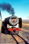 Blick aus einem Reisezug nach De Aar auf die im Bahnhof Houtkraal wartende SAR No. 3606 "ELSABE". (19.07.1975) <i>Foto: Herbert Vaupel</i>