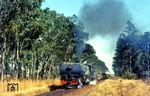 Garrattlok No. 747 der Rhodesia Railways (RR) ist mit Güterzug 27 nach Gwelo östlich von Lochard. (23.07.1975) <i>Foto: Herbert Vaupel</i>