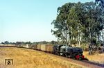 RR No. 375 mit GmP 8 nach Bulawayo östlich von Lochard. 1964 war Rhodesien in Sambia und Südrhodesien aufgeteilt worden. Der in Sambia gelegene Teil der Rhodesia Railways (RR) wurde 1967 in eine eigene Gesellschaft, die Zambia Railways, überführt, in Südrhodesien fuhr weiterhin die RR.  (23.07.1975) <i>Foto: Herbert Vaupel</i>