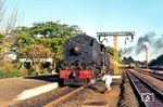 RR No. 394 mit einem Personenzug im Bahnhof Victoria Falls. Der Bahnhof liegt am Südufer des Sambesi in der Nähe der namensgebenden Victoriafälle.  (26.07.1975) <i>Foto: Herbert Vaupel</i>