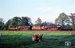 Am Pfingstmontag 1970 gab es für 012 063 und 012 064 keine Rückleistungen ab Münster (Westf), sodass sie Lz nach Rheine zurückkehrten, aufgenommen bei Münster-Nevinghoff. (18.05.1970) <i>Foto: Bernd Kappel</i>