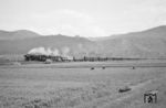 44 1678 (Bw Bebra) vor einem nordwärts fahrenden Durchgangsgüterzug (Dg) mit Burg Rothenstein bei Bad Sooden-Allendorf. (05.1963) <i>Foto: Detlev Luckmann</i>