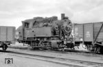 Die letzten Tenderloks der Baureihe 80 bei der DB verdienten sich ihr Gnadenbrot in Schweinfurt. Dort rangiert auch 80 031, die zwei Jahre später ausgemustert wurde. (12.1963) <i>Foto: Hermann Gerdes</i>