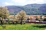 Baumblüte im Werratal in Ellershausen nördlich von Bad Sooden-Allendorf. 103 203 rauscht mit FD 1983 "Alpenland" (Hamburg-Altona - Hannover - Würzburg - Augsburg - Kempten - Immenstadt - Oberstdorf) vorbei. Im Hintergrund ist noch der Grenzzaun der ehemaligen deutsch-deutschen Grenze zu erkennen. (30.04.1990) <i>Foto: Wolfgang Bügel</i>