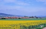 Bei Albungen (Werra) kreuzen IC 575 nach Basel SBB und 111 006 mit E 3674 nach Göttingen. (30.04.1990) <i>Foto: Wolfgang Bügel</i>