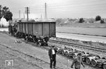 Rangierarbeiten mit 99 253 an der Rollbockgrube im Bahnhof Regensburg Kalkwerke. (06.1957) <i>Foto: Gerhard Karl</i>