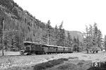 Ge 4/4 182 der RhB mit einem Sonderzug nach St. Moritz bei Campascio. Die Lok war ein Einzelstück, die 1928 für die damals eigenständige Berninabahn gebaut wurde und nach der Übernahme der Strecke durch die Rhätische Bahn in deren Besitz wechselte. Aufgrund der äußerlichen Ähnlichkeit zu den als Krokodil-Lokomotiven bezeichneten Maschinen wird diese Maschine auch als 'Bernina-Krokodil' bezeichnet.  (04.1968) <i>Foto: Kurt Müller</i>