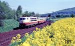 103 235 passiert mit TEE 16 "Rheingold" ein blühendes Rapsfeld bei Ölbronn. (05.1983) <i>Foto: Heiko Hamm</i>